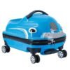 torsion car luggage